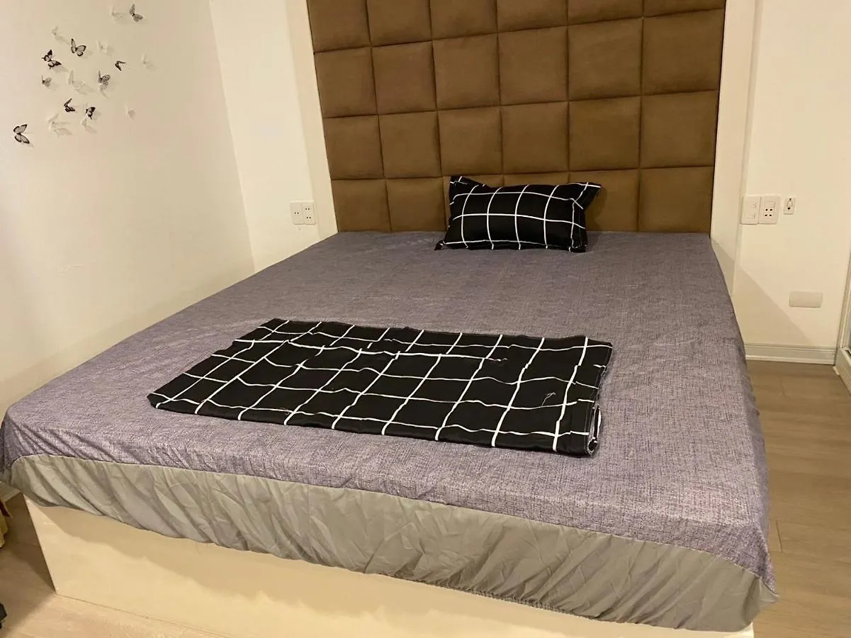 The Best Apartment For Rent 岘港 越南